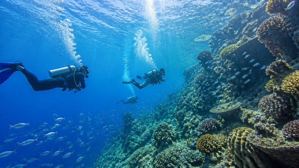 cancun diverse underwater adventure options