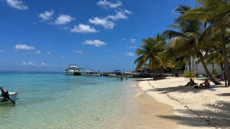 Playa Tortugas Cancun Guide