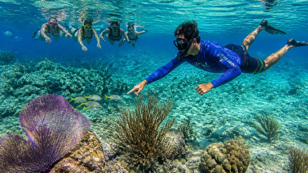 five in one reef adventure