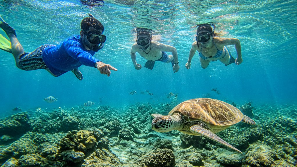 Cancun Reef Snorkeling Guide