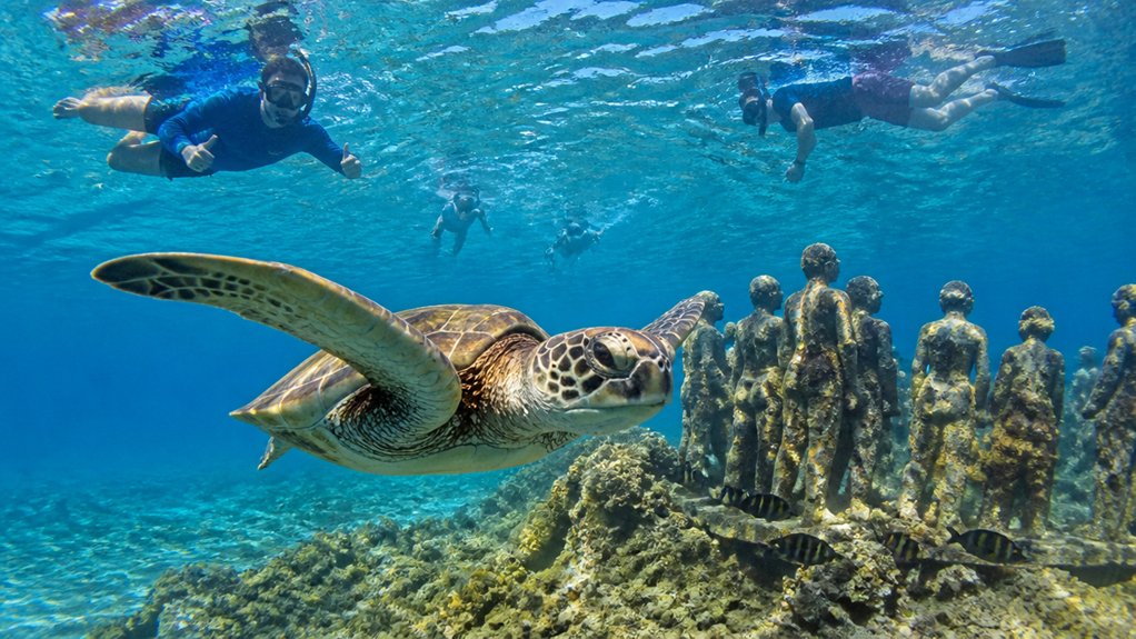 turtles musa snorkeling morning