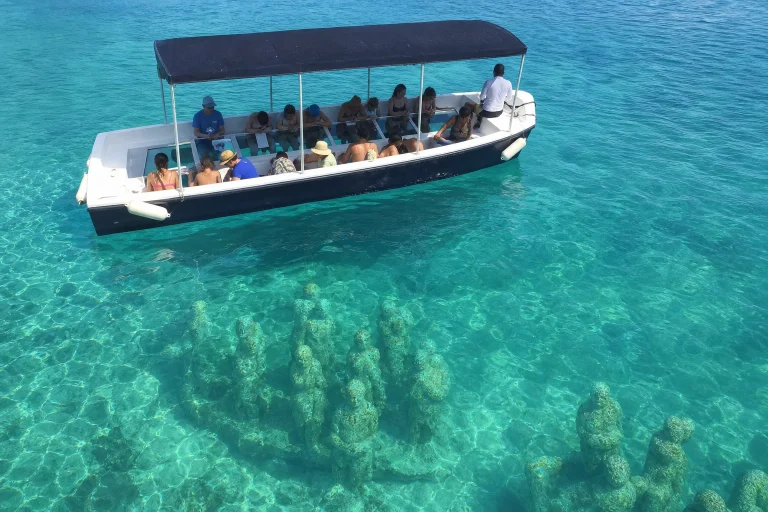 Best MUSA Underwater Museum Tours