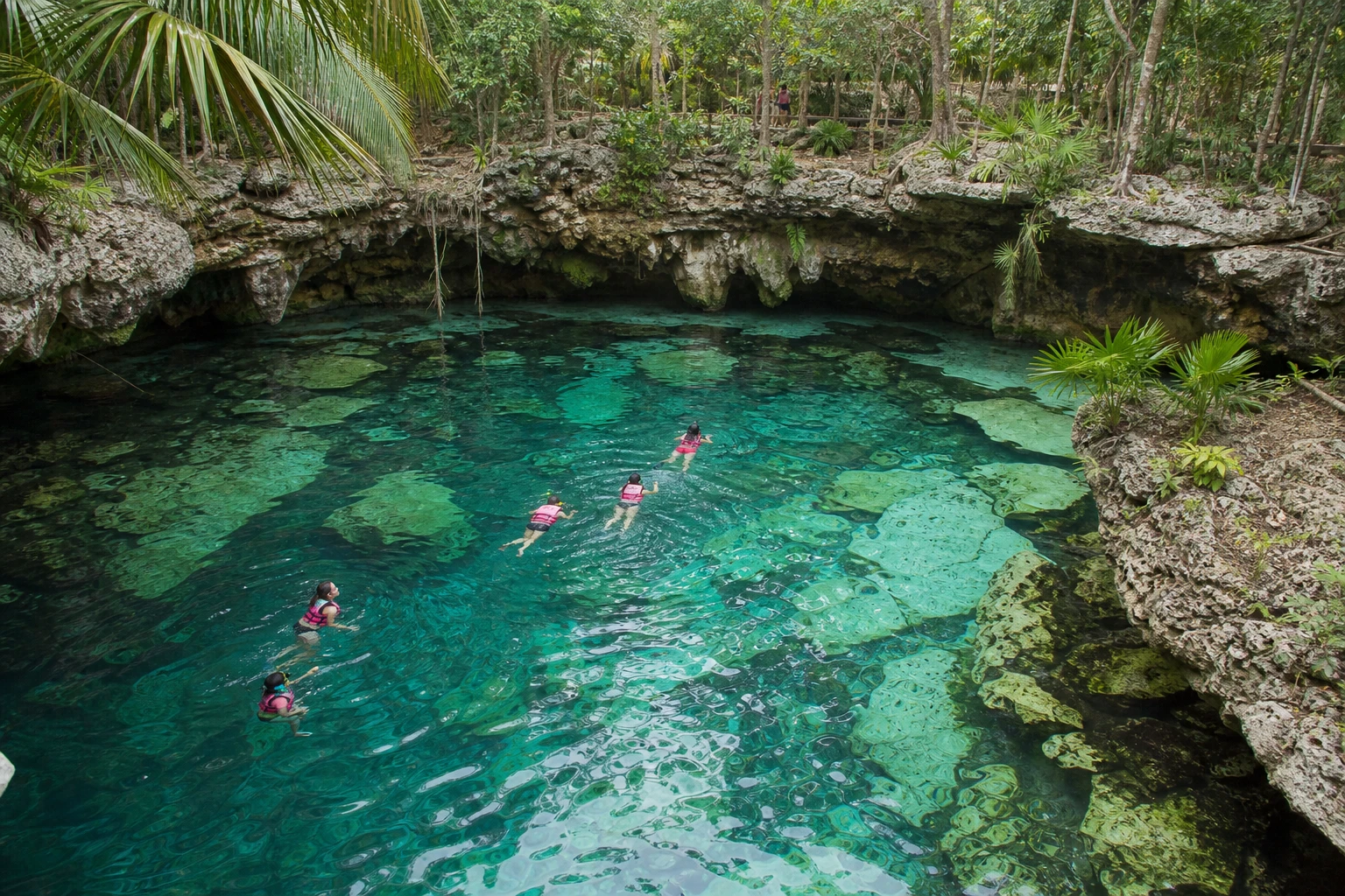 Cancun Cenote Tour Prices