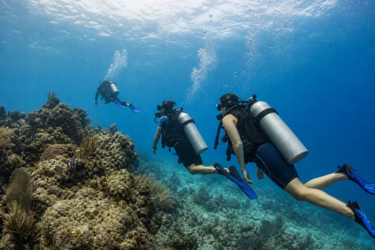Cancun Reef Diving Tours