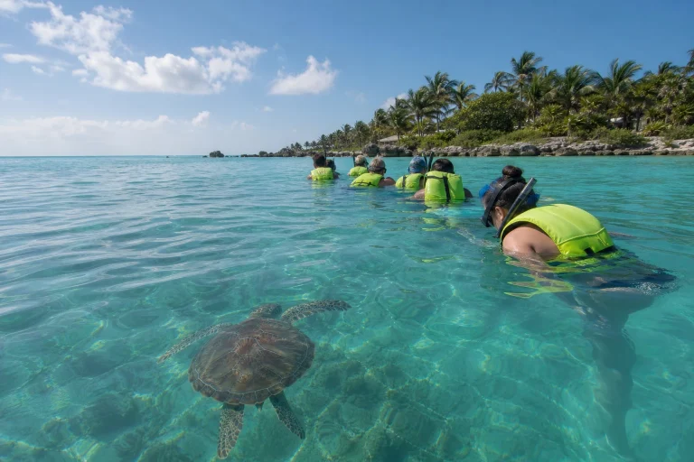 Cancun Snorkeling Tour With Turtles