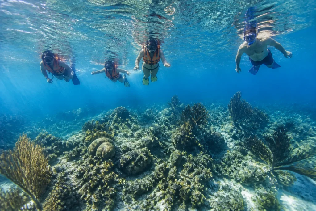 Snorkelers above a reef on an Isla Mujeres boat excursion