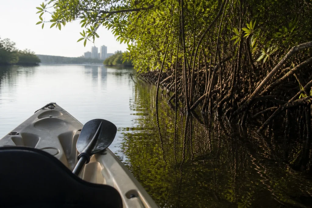 Kayak and paddle beside mangrove roots in Nichupte Lagoon.